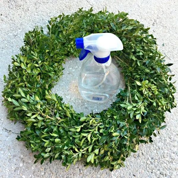 Water bottle to spritz a boxwood wreath for Christmas