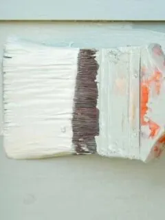 Popular Sherwin Williams paint colors like sea salt