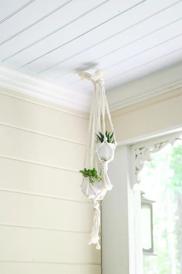 Plant decor ideas like hanging plants