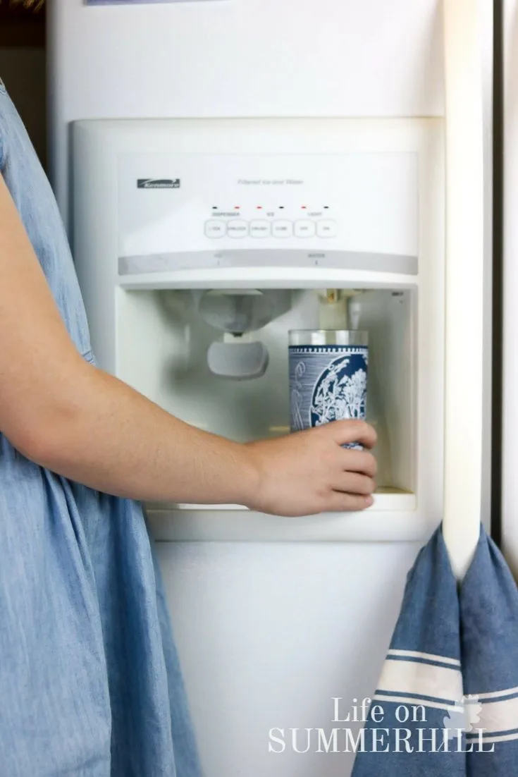how to keep your fridge water dispenser filter clean with a subscription