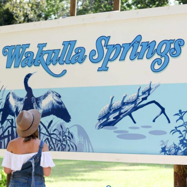 Wakulla Spring Florida review and tour