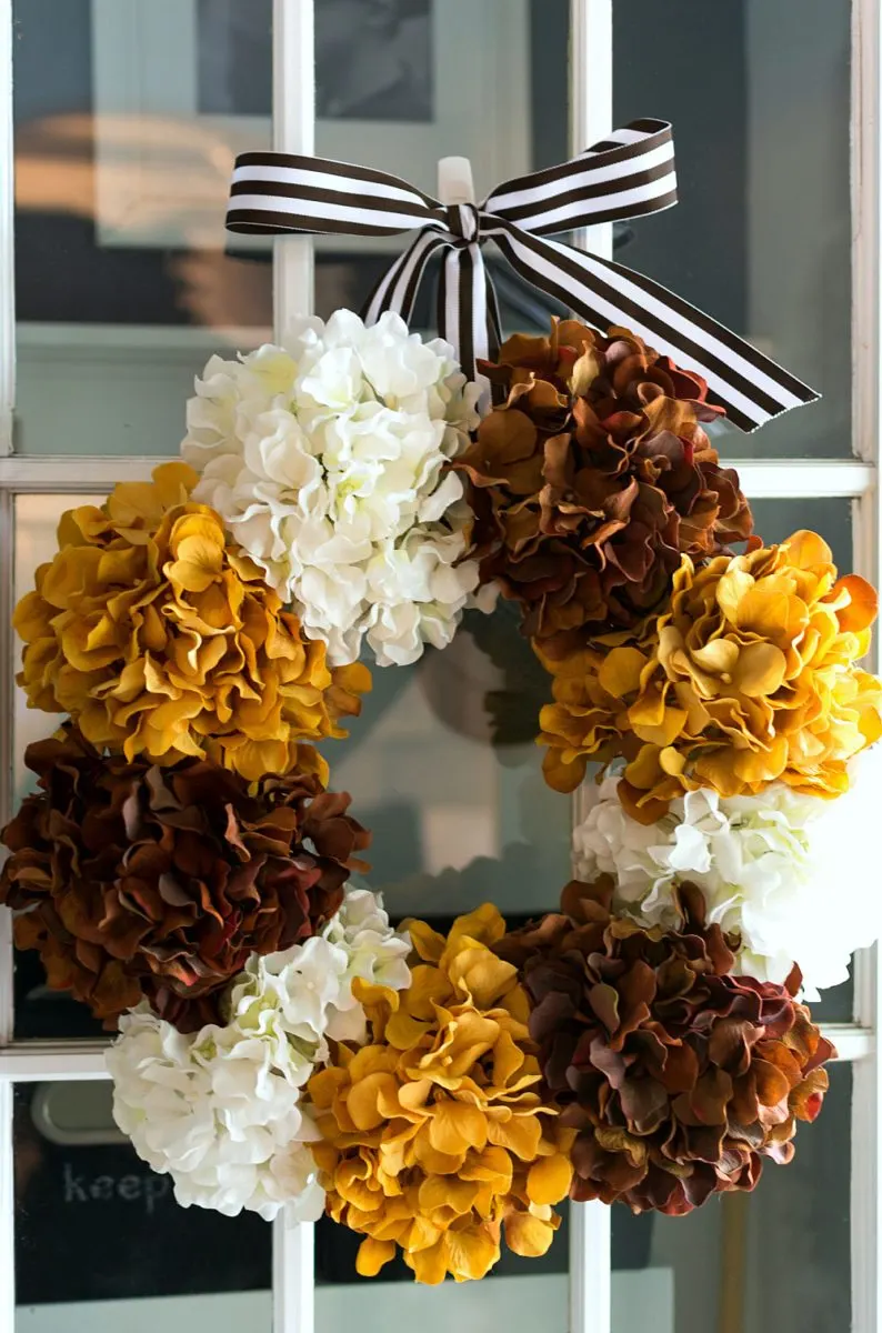 fall wreath ideas hydrangeas of white brown and mustard yellow and hung with a brown and white stripped ribbon on a door.