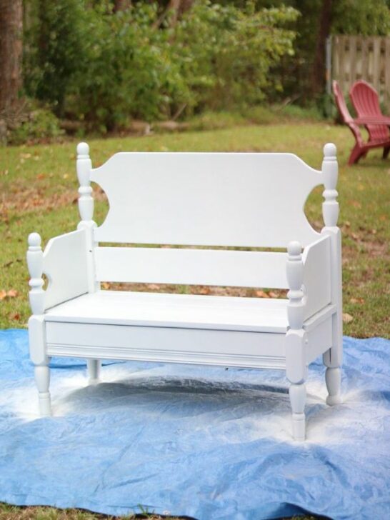 Best Home Paint Sprayer and How to Paint a Bench