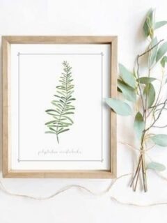 I love you gifts for her ideas like this botanical printable