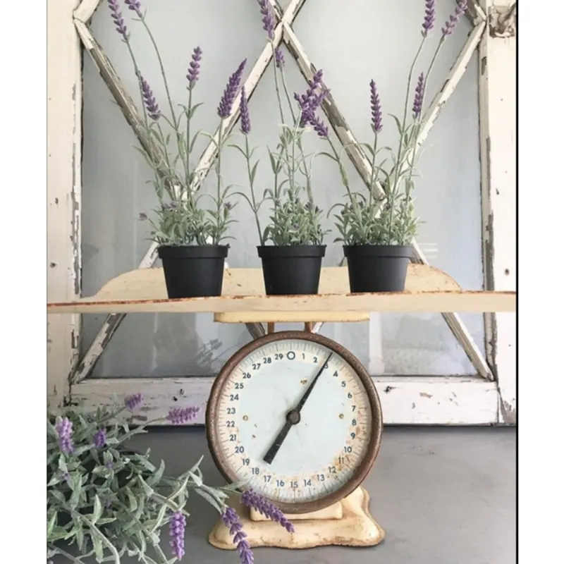 decorating with vintage scales and photo by desert decor