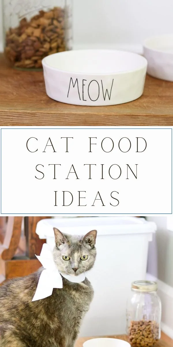 Cat Food Station Ideas