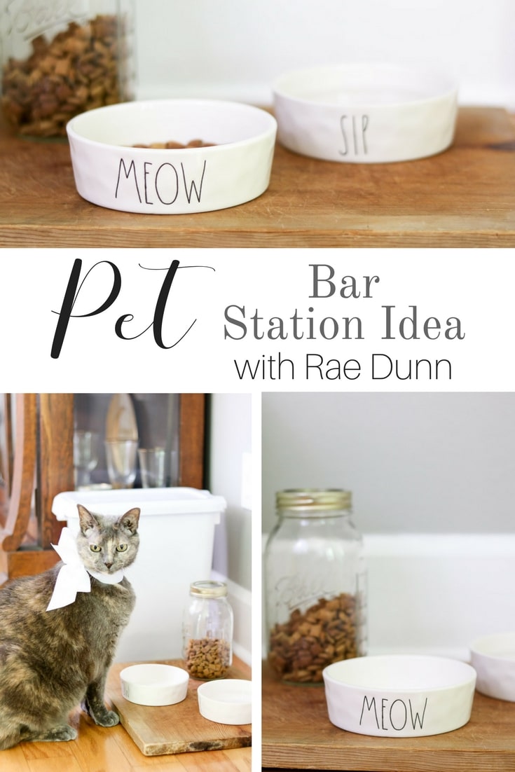 Pet bar station idea with rae dunn cat bowl