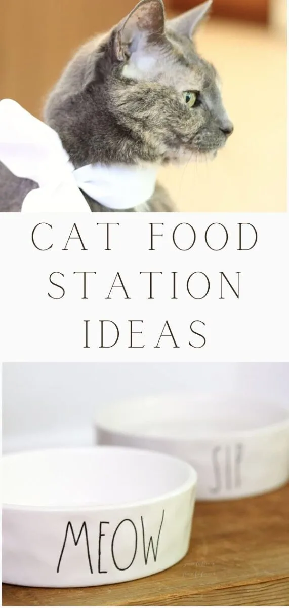 Simple cat food station ideas