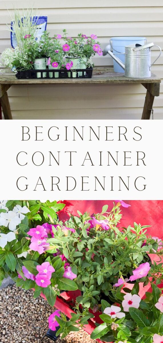 Beginners container gardening