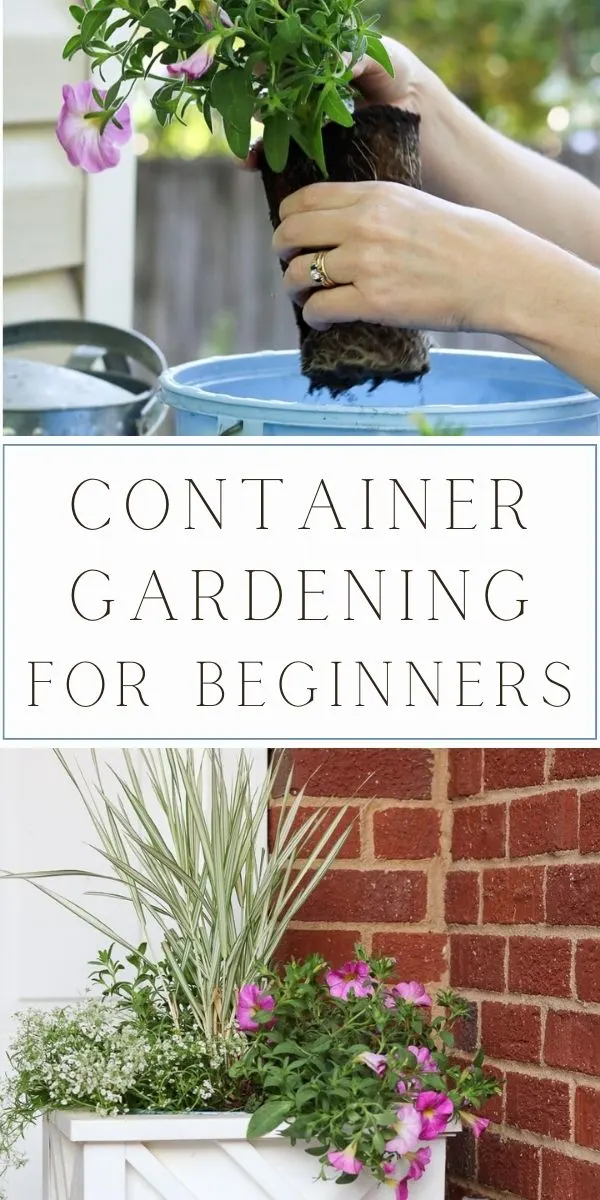Container gardening for beginners. Garden hacks. How to plant flowers in pots.
