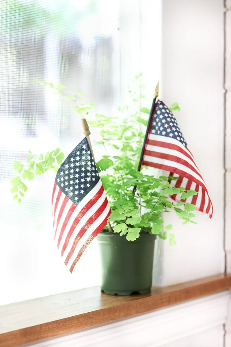 Patriotic outdoor decorations with stick flags in plants
