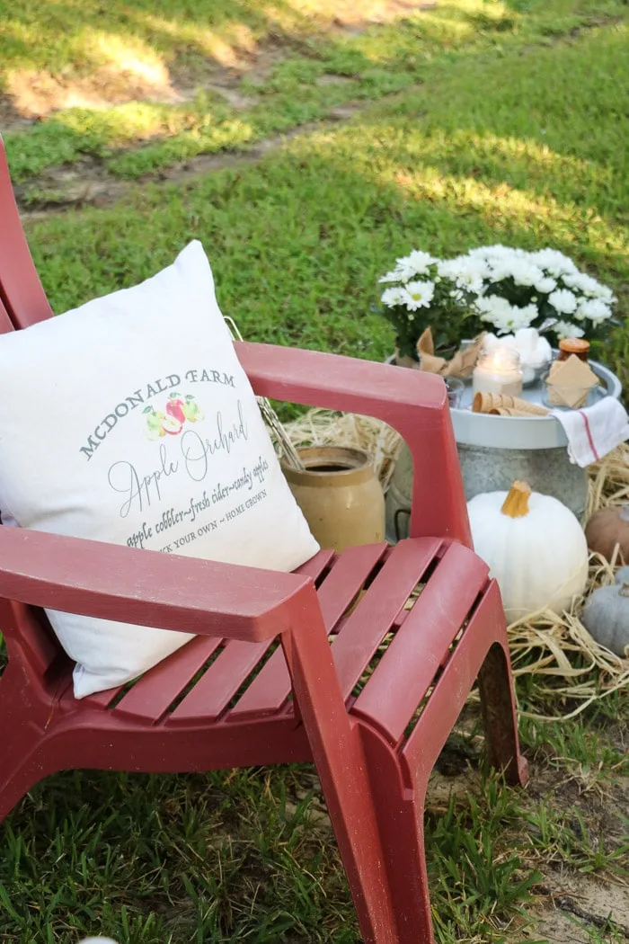 Outdoor fall decor and pillow