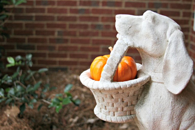 Fall Decor Using Small PUmpkins In Your Decor