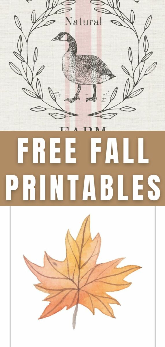free fall printables of a farm goose and a watercolor autumn leaf