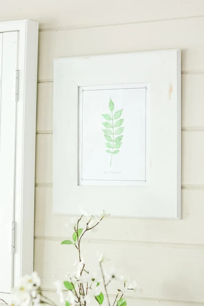 botanical free downloadable art prints DIY frame project displaying printable on back porch