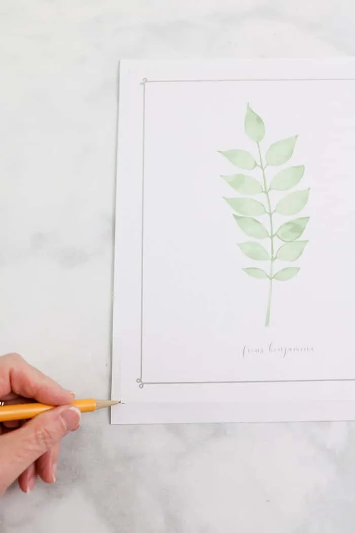 botanical free downloadable art prints DIY frame project mark corners to cut