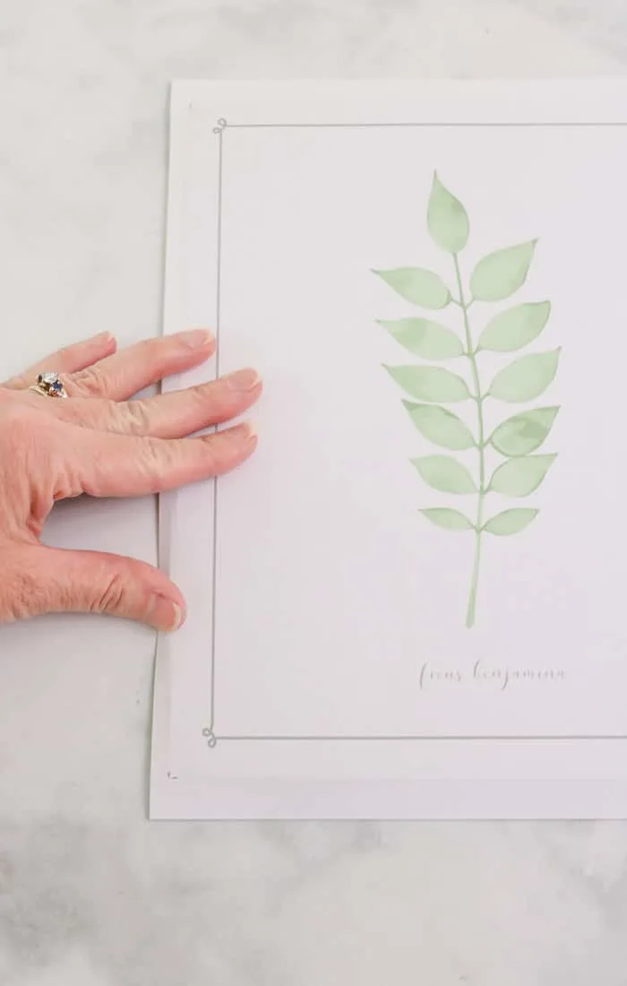 botanical free downloadable art prints DIY frame project print and score edges to cut print