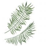 BEST FREE PRINTABLE BOTANICAL PRINTS | LIFE ON SUMMERHILL