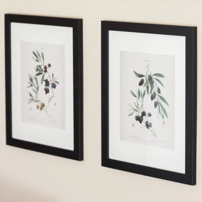 Free Printable Botanical Prints by Gather & Flourish with Olive Branch Botanicals
