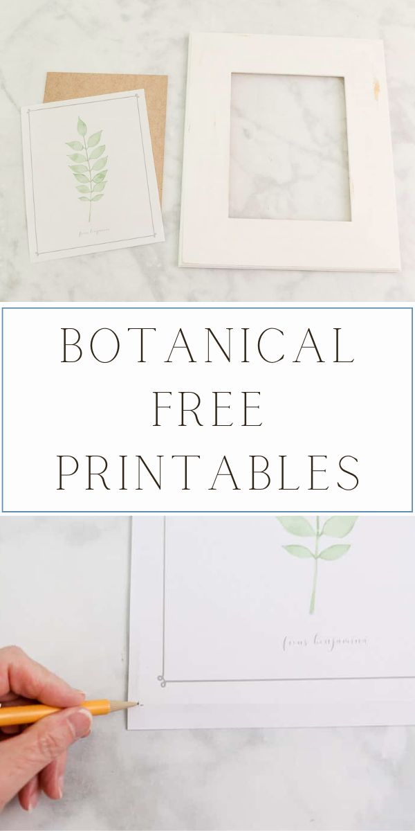 botanical free printables
