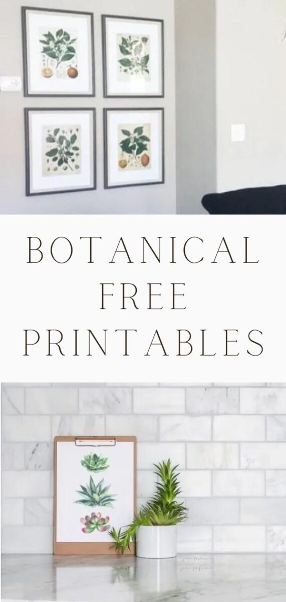 Botanical free printables