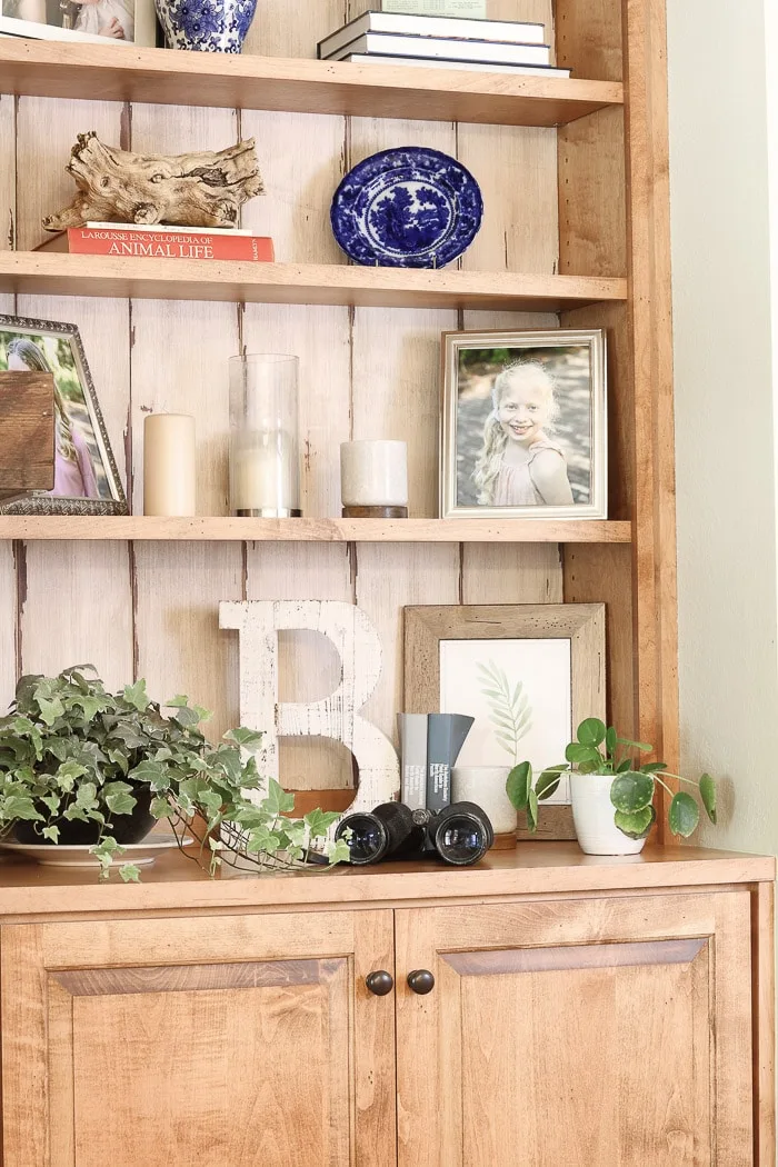 How to decorate a bookcase using real plants