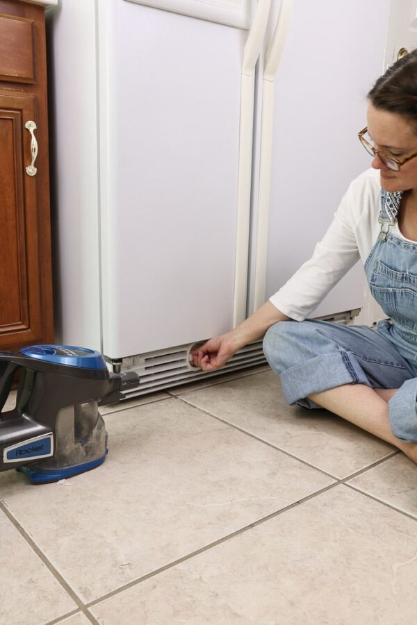 HOW TO CLEAN FRIDGE WATER DISPENSER AND ICE MAKER
