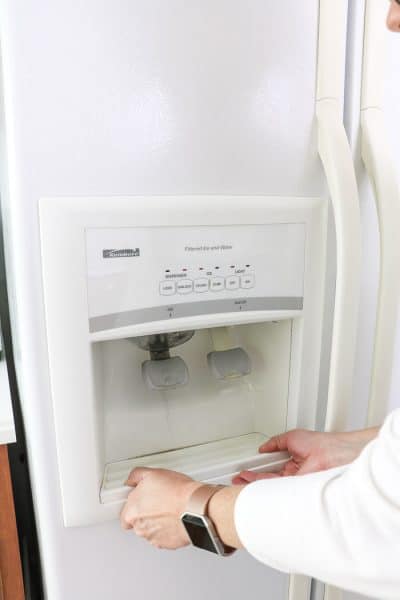 HOW TO CLEAN FRIDGE WATER DISPENSER AND ICE MAKER