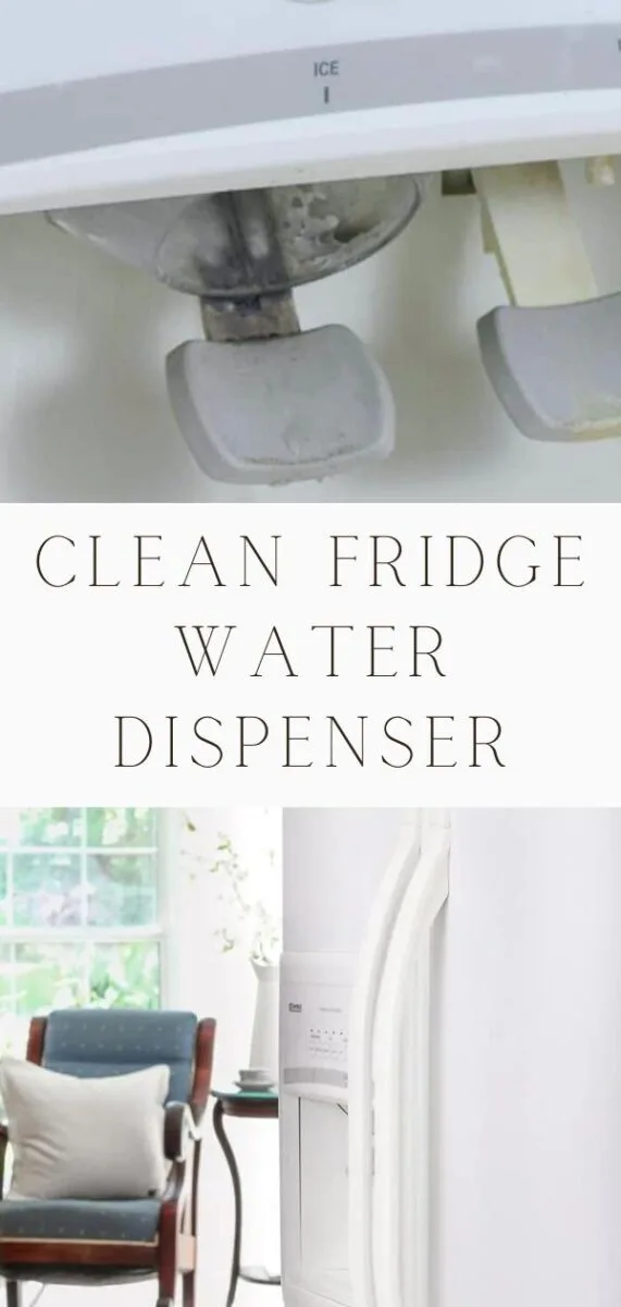 How to clean fridge water dispenser
