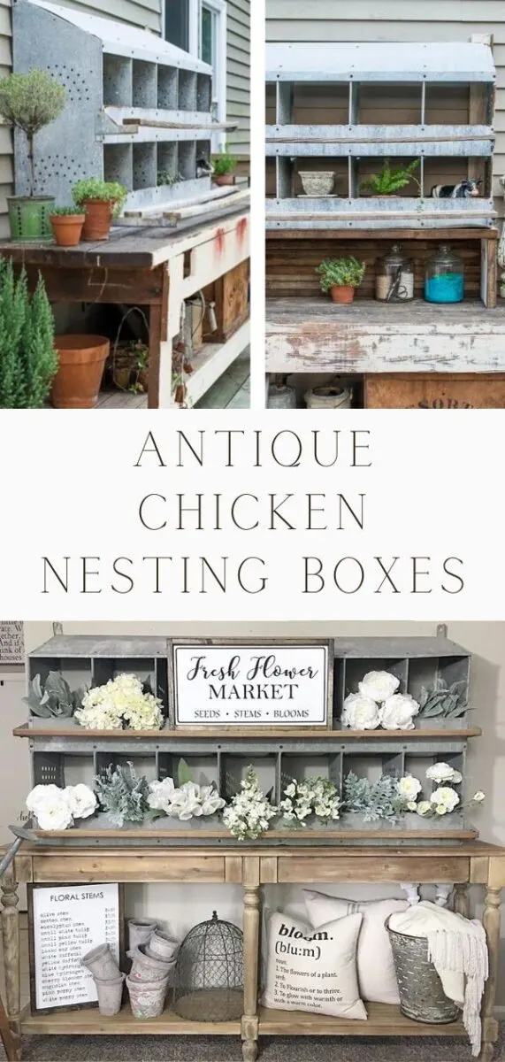 Antique chicken nesting boxes