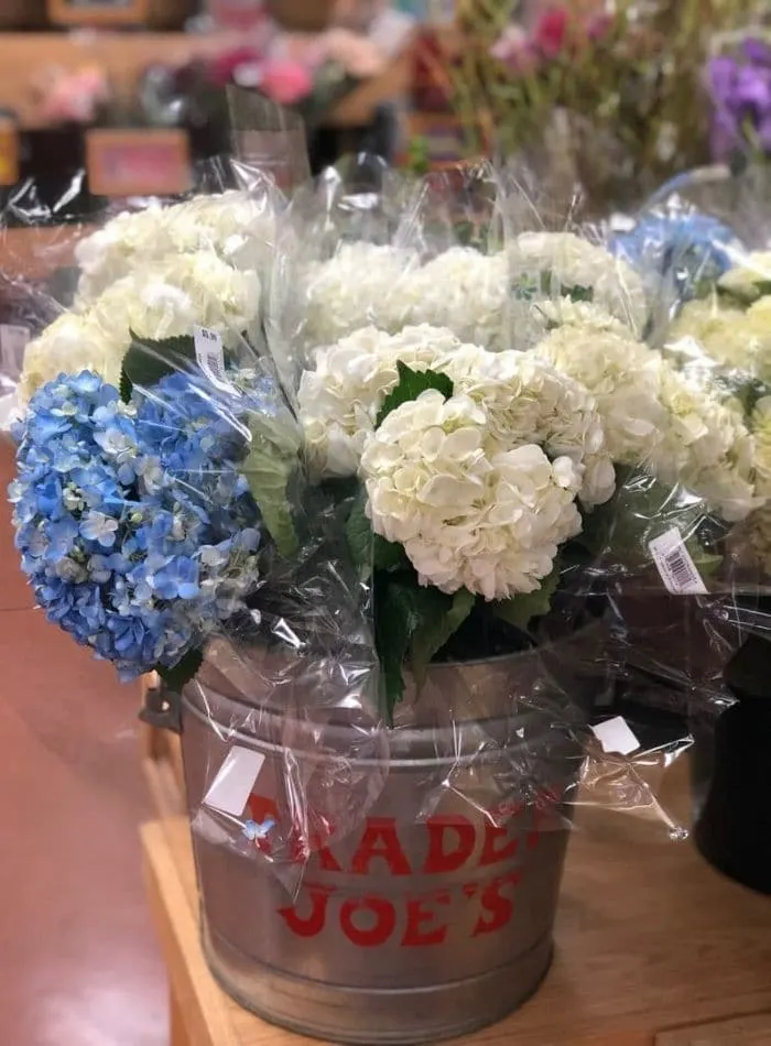 Best places to buy flowers showing a bucket of hydrangeas in blue and white at Trader Joes.