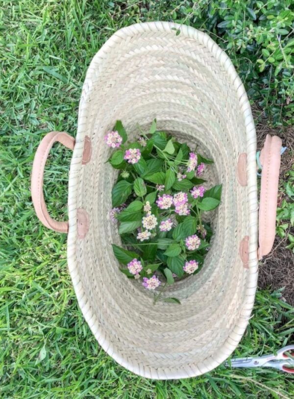 Best Places to Buy Flowers for Beautiful Flower Arrangements