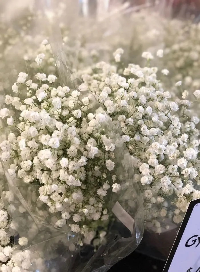 Best places to buy flowers showing babies breath at Fresh Market