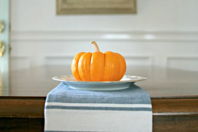 Fall decor idea using a real pumpkin on a small bread plate and sitting on a farmhouse style kitchen towel.