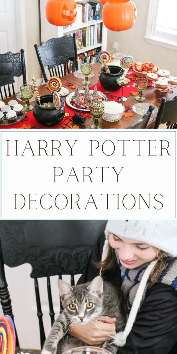harry potter party decorations
