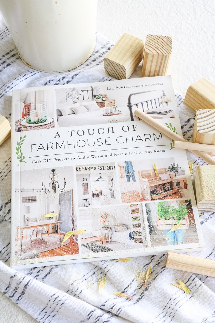 A Touch of Farmhouse Charm by Liz Fourez.  An easy DIY project book with warm and rustic feeling rooms.  One of the best interior design books for beginners.