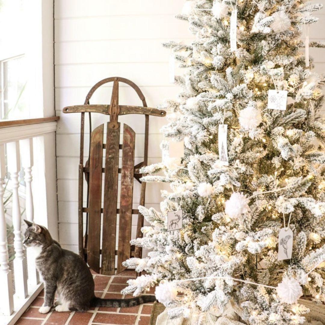 8 Brilliant White Christmas Tree Ideas