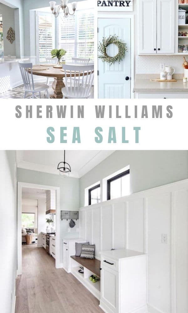 Sherwin Williams Sea Salt Paint