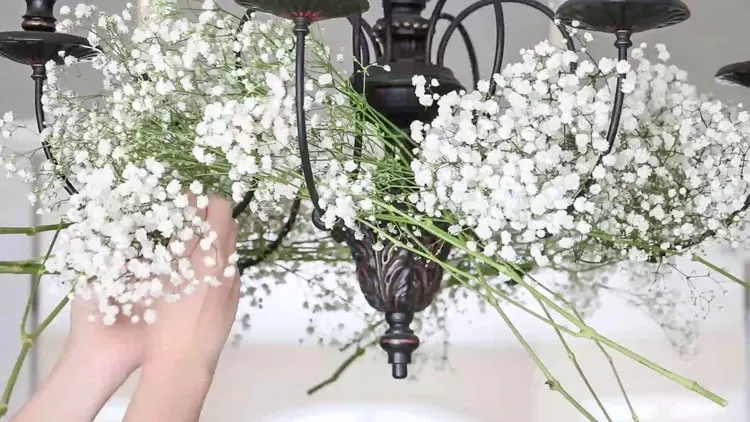 Decorate a chandelier with baby's breath.