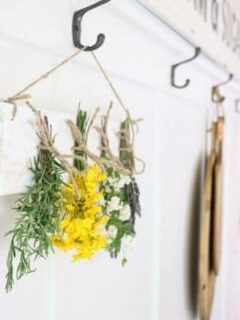 dried flower and herb wall hanging