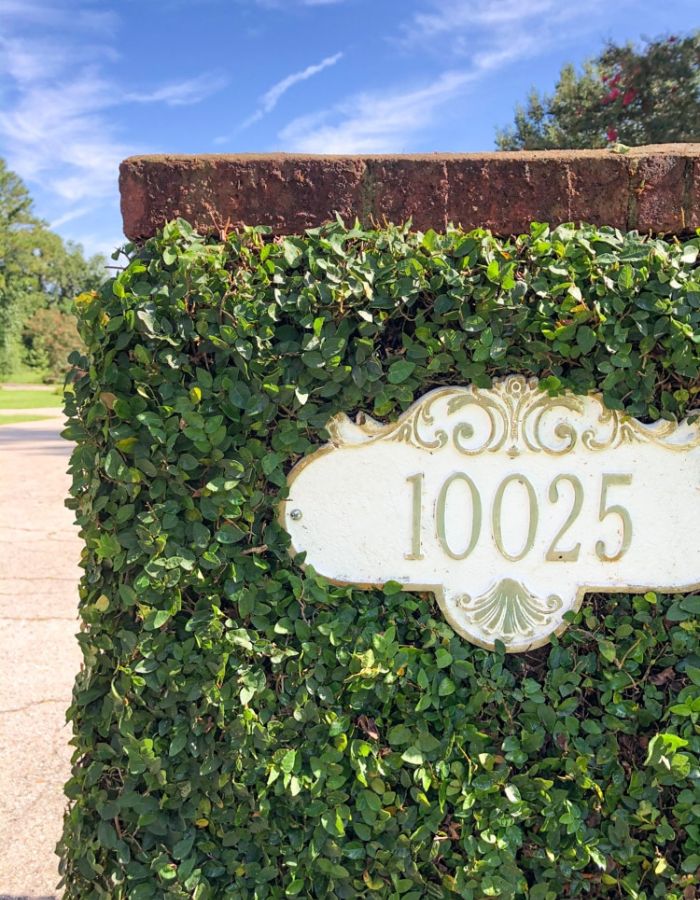 How to trim ivy on a brick mailbox for a manicured look