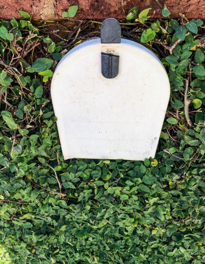 Ivy trimmed close around the door of a brick mailbox