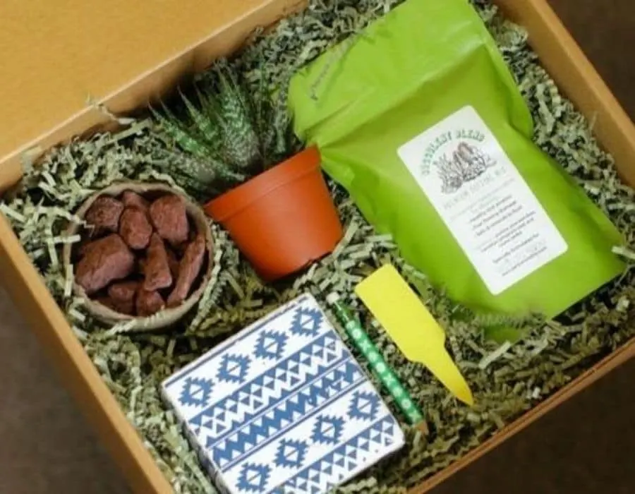 Succulents monthly subscription box plant, planter, and planting supplies like dirt and stones.