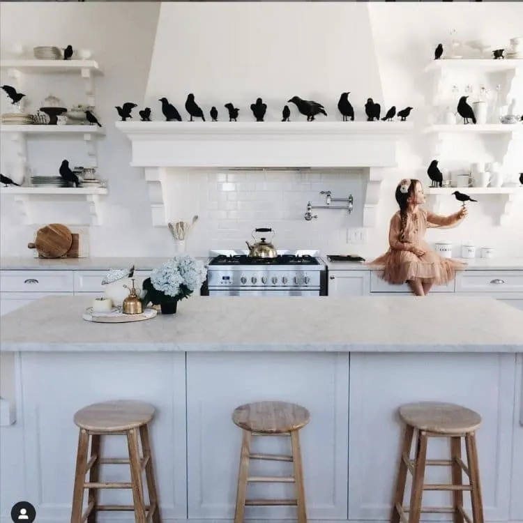 Fun Halloween decoration idea for the kitchen with lots of black grows sitting on the shelves and over the range like in the movie The Birds.