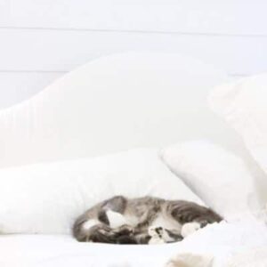 How to make an upholstered headboard with a bleached drop cloth