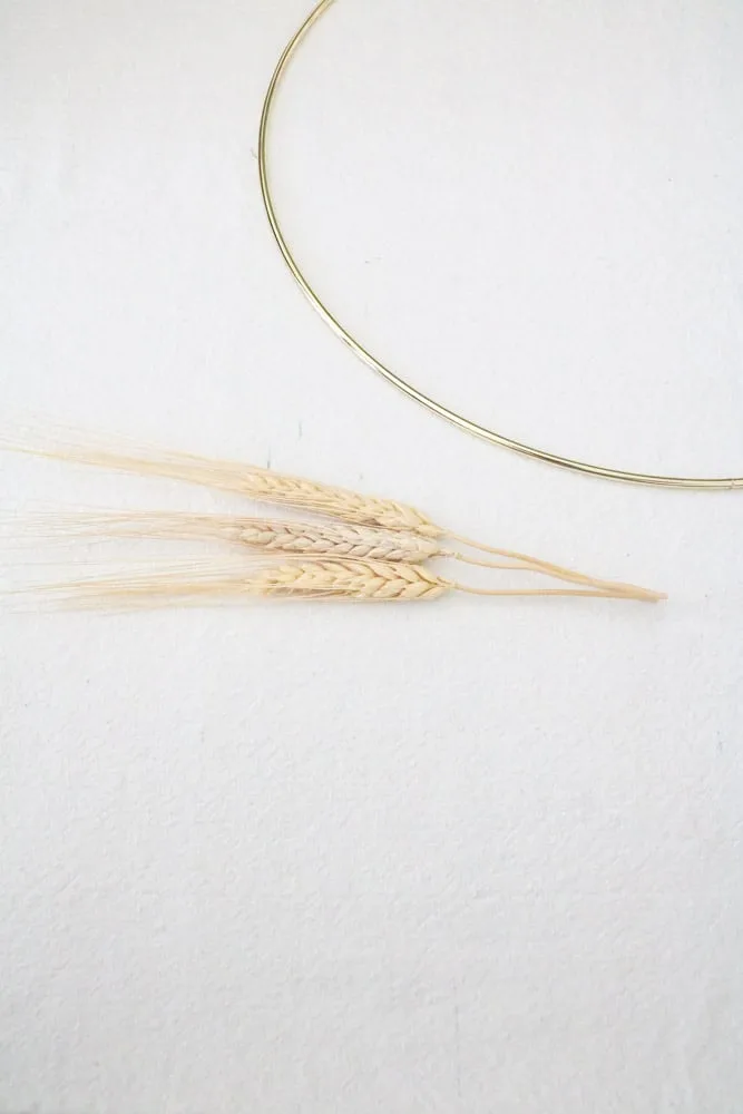 Measure and cut dried wheat to fit onto a metal ring