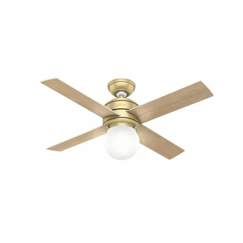 Inexpensive Hunter modern ceiling fan with gold body and light wood blades