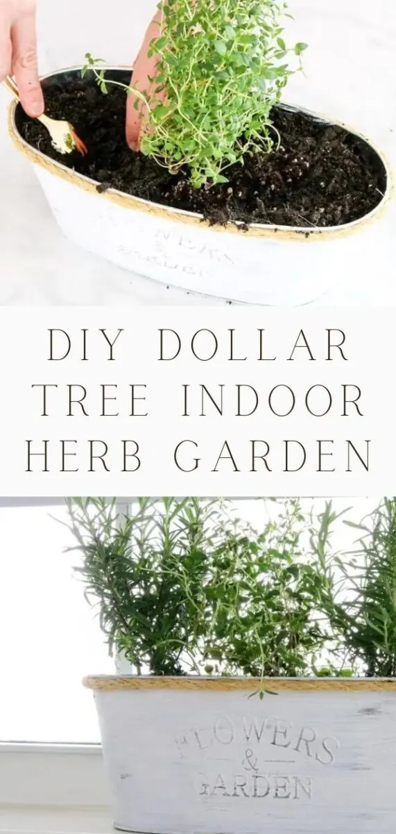 DIY Dollar Tree indoor herb garden