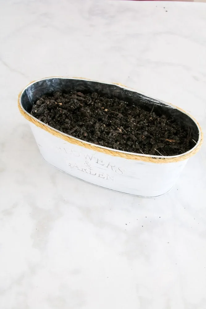 How to make a herb garden in the kitchen by adding soil over rock in a pot