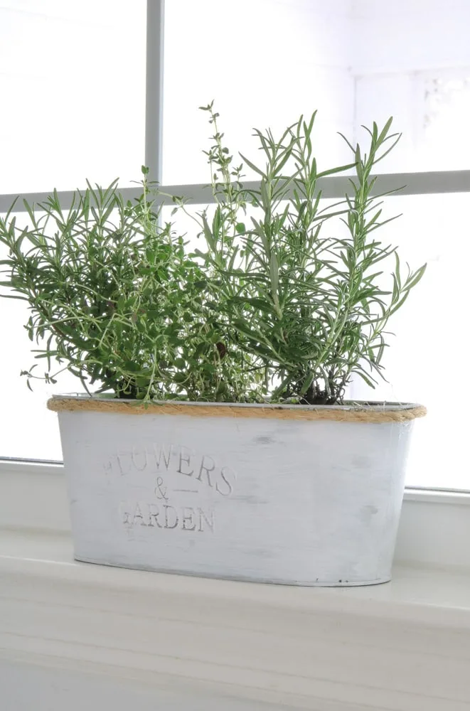 how to build a indoor herb garden Dollar Tree project